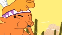 Little Strongheart Whistle S1E21