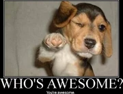 Who-is-awesome