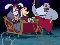 Brandy-and-mr-whiskers-on-whiskers-on-lola-on-cheryl-and-meryl-10