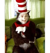The cat in the hat-293x307