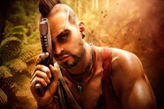 Vaas2
