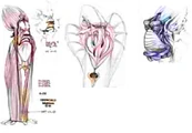 Early Concepts