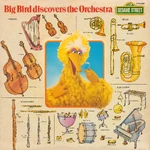 Album.bigbirdorchestra