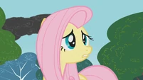 Fluttershy tries to warn everypony S1E7