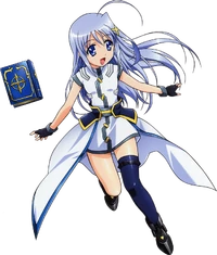 Reinforce Zwei