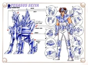 Pegasus Cloth V-03