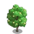 American Basswood Tree-icon