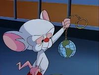 Brain12