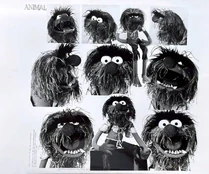 Animal styleguide photo