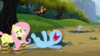 Rainbow Dash laughing S03E09