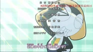 Bright suni