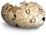 http://uncyclopedia.wikia
