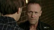 Merle Look 
