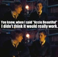 Accio-Beautiful-harry-potter-vs-twilight-18451801-500-487.jpg