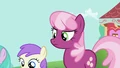 Cheerilee 2 S2E6.png