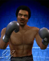 Rockyfeature rocky1 dipper