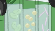Teppei seed