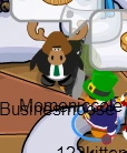 123kitten1 moose 2012