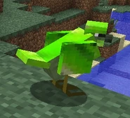 Green Bird