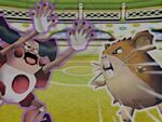 Pika Copa