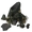 Classic Coal