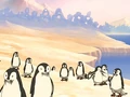 Otter penguin colony.png