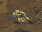 Old TiberiumSilo Screenshot