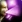 Talent-SongOfCourage icon
