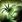 Talent-SummonSpider icon