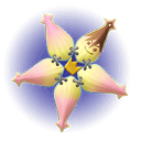 Wayfinder KHII.png (7 KB) Wayfinder KHII