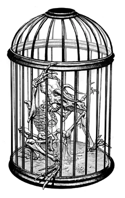 Caged5Legger