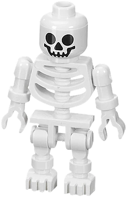 Skeleton