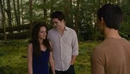 Images (20)
