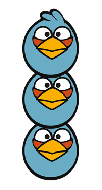 Birds