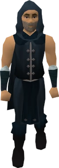 Male-thief