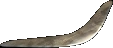 FoT boomerang