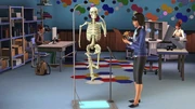 Sim skeleton