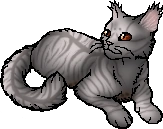 Tawnyspots.star