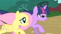 Twilight and Fluttershy chase Philomena S01E22