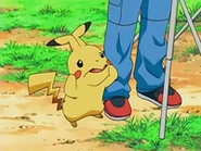 Pikachu Imitating Turtwig