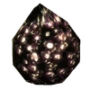 Punga seed