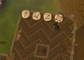 Tuzo.png