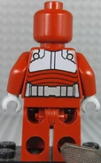 Beetle back