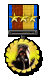 Medal-r3-fireteam