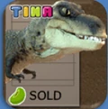 Recipe Run Tina