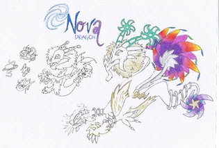 Nova Dragon
