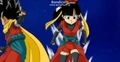 SaiyanHeroine(DBH13)