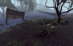 Flooded Camp