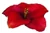 FFXIII2 Adornment - Crimson Flower
