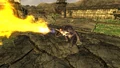 Fire gecko.jpg